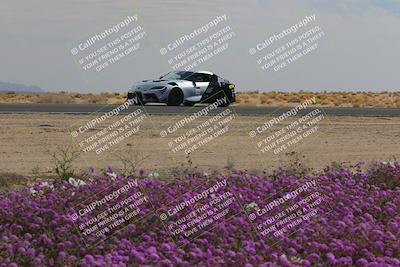 media/Feb-12-2023-Club Racer Events (Sun) [[9ed0490a96]]/1-Super Advanced (Red)/Session 3 (Turn 2)/